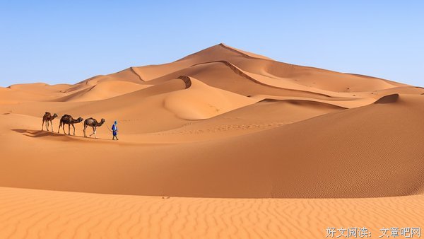 撒哈拉秘密基地读后感锦集