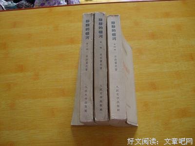 《静静的顿河（全四册）》读后感100字
