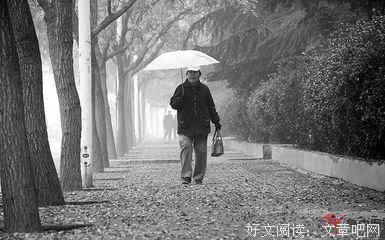 西四落叶优美的句子