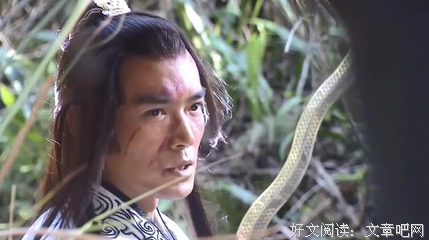 《金蛇郎君》的影评大全