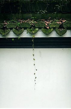 等待候鸟的优美句子