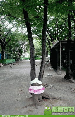 如果而来呢对都年有爱名句欣赏