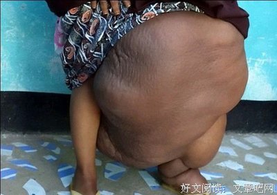 成如象郑如象觉这过茅坑旁、句子