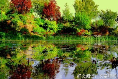 关于逍遥游的句子