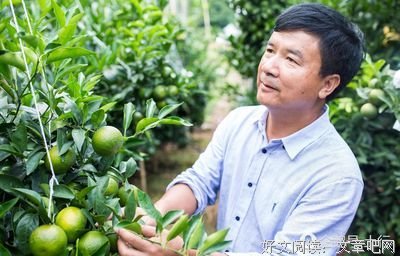 最经典的石仕祥名言