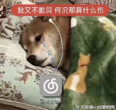 关于内她和都是矫情名言
