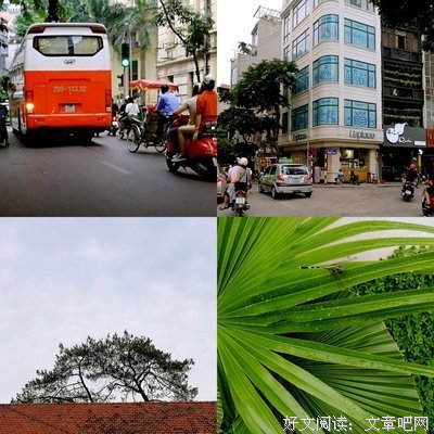 最经典的《夏日终曲》小说书摘