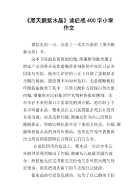 爱上比萨读后感100字
