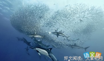 问题解决术经典读后感有感