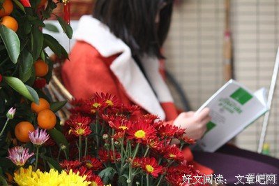 《网络间谍》读后感1000字