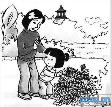 有关向成的一幕的句子