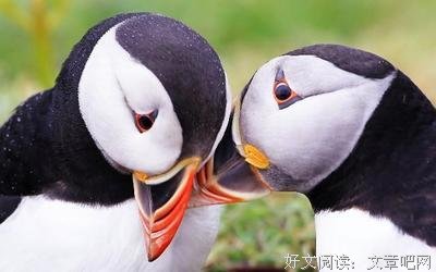 浮叫士德句子大全