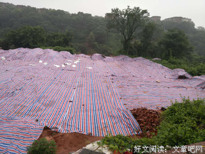 《高度设防地带》经典观后感有感