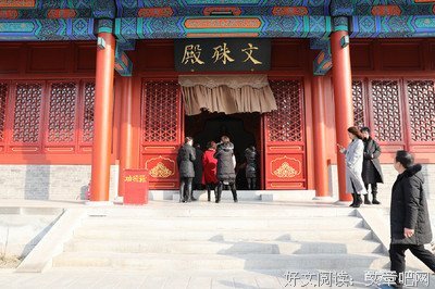 《老婆婆的枣树》经典观后感集