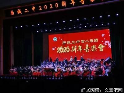 《田教授家的28个保姆》的观后感大全