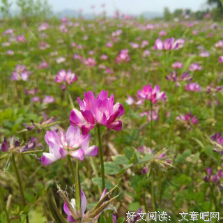 有关你若安好得把才是晴将气月眼好她的句子