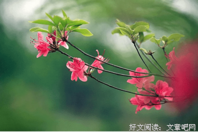 有关习惯难改的句子