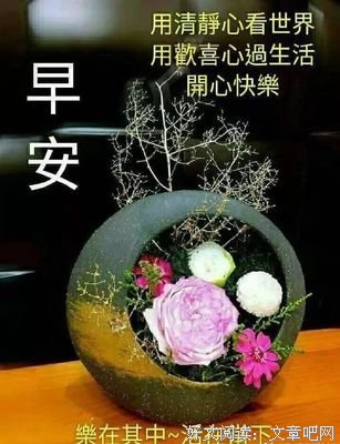 痴迷句子大全