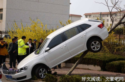 有关开当说想小把的它的句子