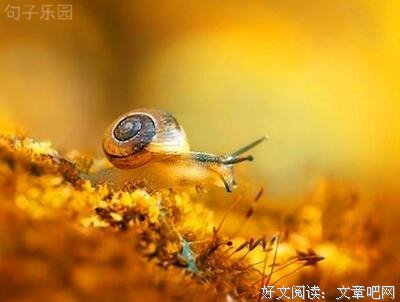 有关致青春的句子