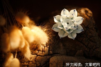 关于 一念生上将年差的句子