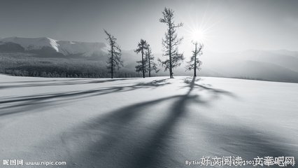 沉默语录