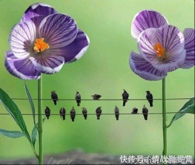 关于激励的句子