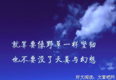 布鲁诺·舒然着心茨名言名句