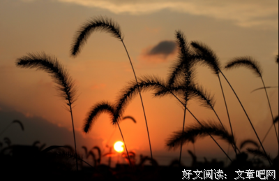 人生过半，回头看看！
