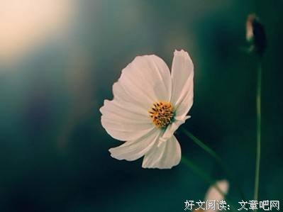 过往不回头，且行且珍惜 