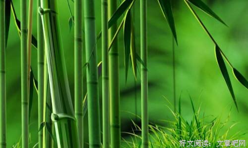 为人之道，正直为本 