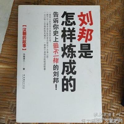 《刘邦是怎样炼成的》读后感100字