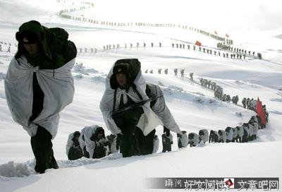 《诗性回忆与现代生存》读后感摘抄