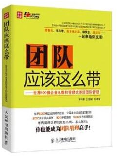 《大团队》读后感100字