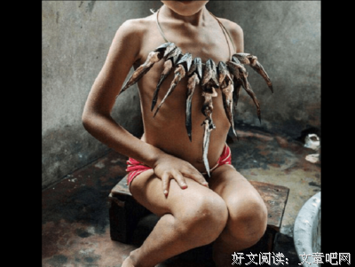 2050年的母系氏族 Ⅰ读后感100字