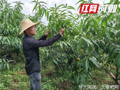 心简单，事就简单明了