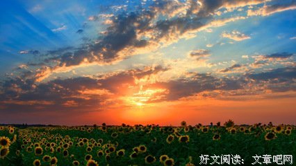 太阳的自能裔经典的句子
