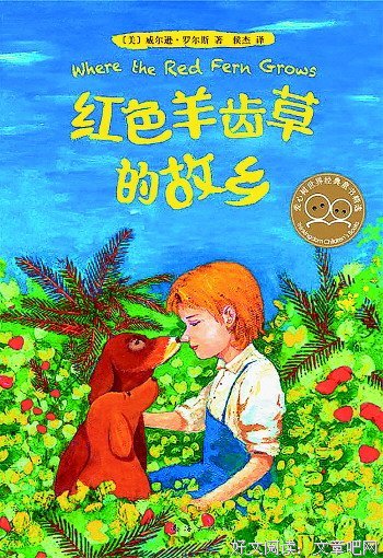 《红色羊齿草的故乡》影评摘抄
