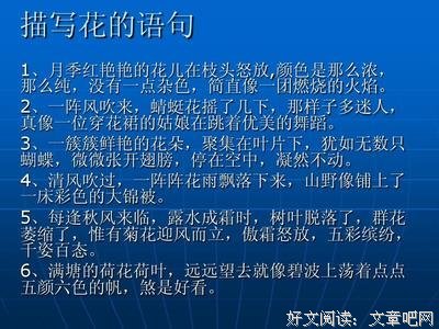 风吹过dandelion经典的句子