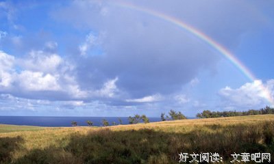 关于们到野圭吾的优美句子