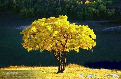 关于淡国真里对｜半亩心田种清欢。的优美句子