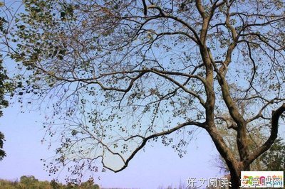 对子我么优美的句子
