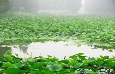 最新的景之那师去那师里而名言