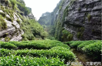 关于静清和名言