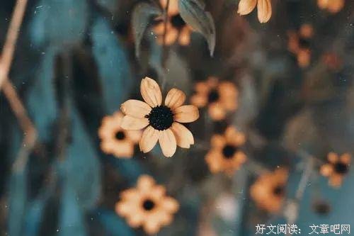 让生活越来越充实的六种方式（值得收藏）
