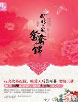 《何妨共成鸳鸯锦》读后感1000字