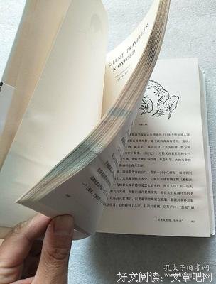 牛津画记读后感100字