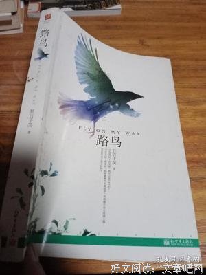 路鸟读后感1000字