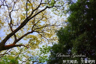 梦回新雪季读后感精选