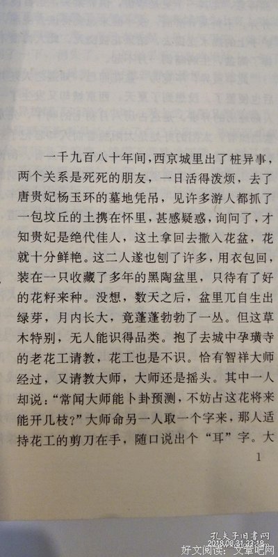 廢都读后感1000字